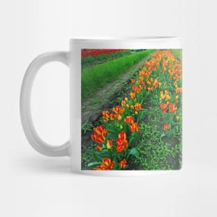 Orange Tulips Mug